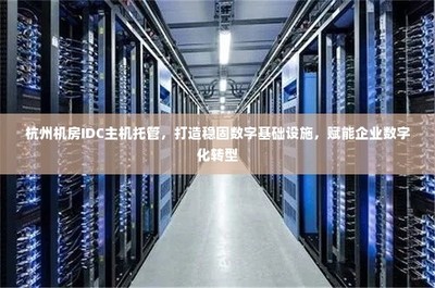 杭州IDC主機(jī)托管 穩(wěn)固數(shù)字基礎(chǔ)設(shè)施，引領(lǐng)企業(yè)數(shù)字化轉(zhuǎn)型的堅(jiān)實(shí)基石